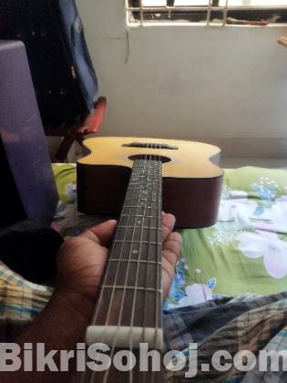 Guitar গিটার